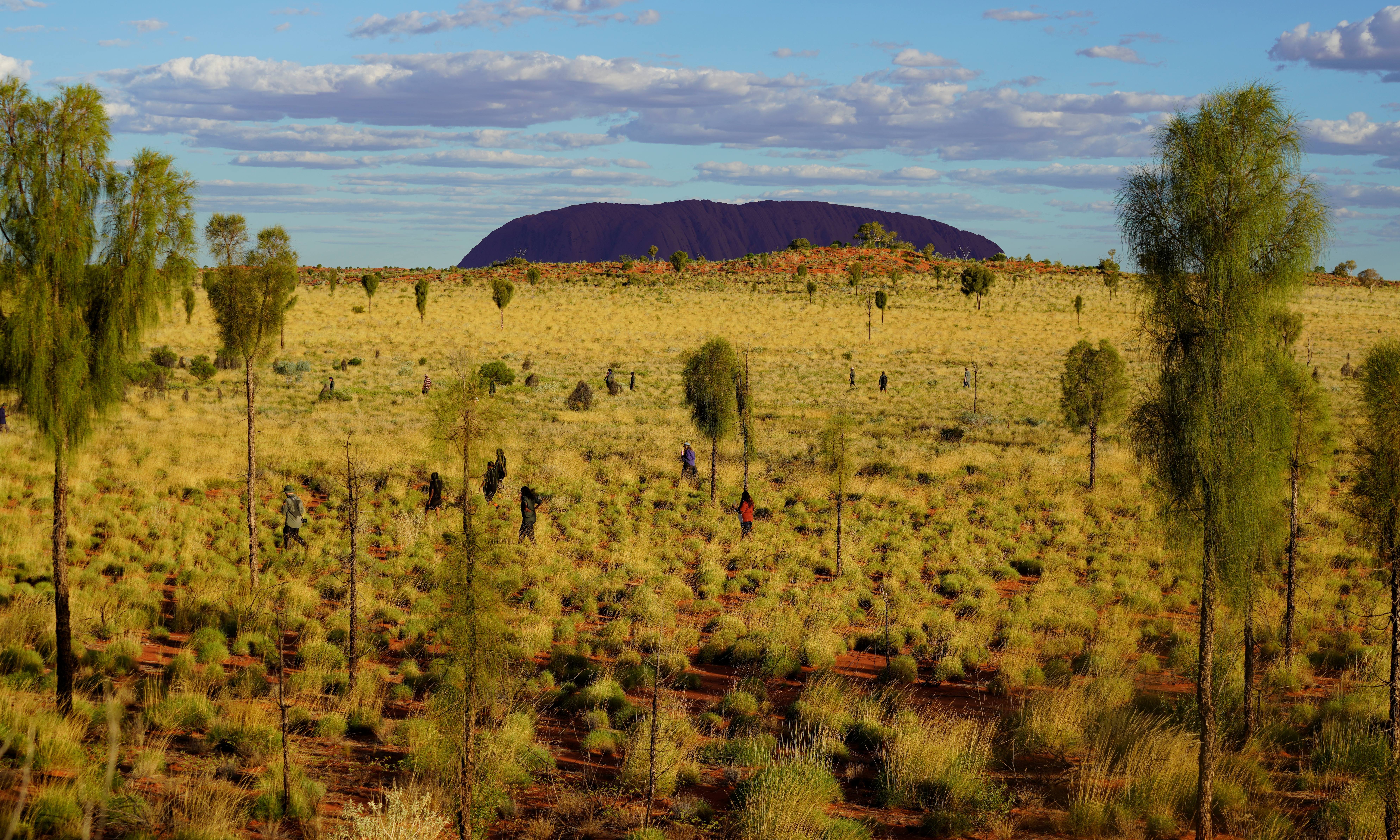 Mulyamiji March 2024 at Uluru Kata Tjuta NP / Kate Cranney - Resilient Landscapes Hub
